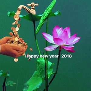 Meet your Posher, Toan